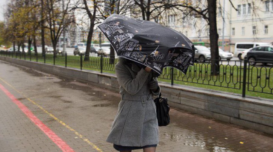 Штормовое предупреждение в Свердловской области на 29 сентября 🌬