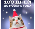 100 дней до Нового Года!