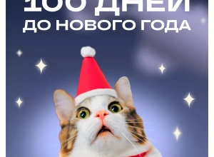 100 дней до Нового Года!