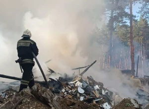 Во Владимире загорелись хозпостройки.