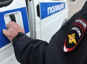 Полицейские забрали кота у уральского живодера-стримера.