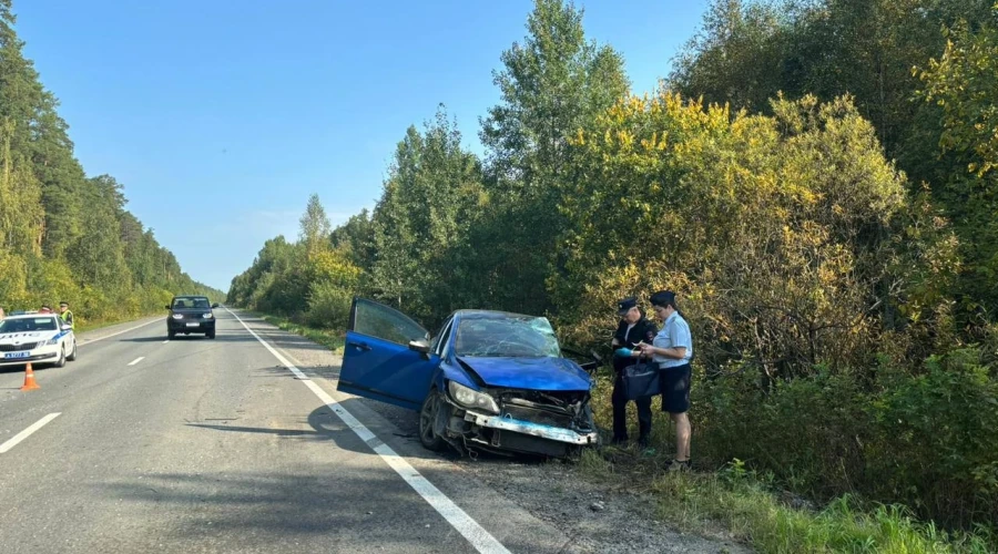 Сегодня на Режевском тракте произошло смертельное ДТП. 