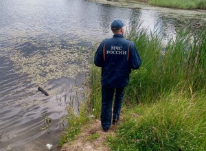 Патрулирование береговых зон.